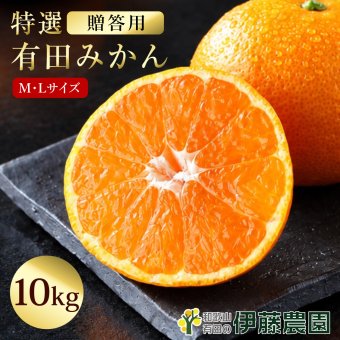 みかん 10kg 贈答用 秀品 特選 送料無料 和歌山 M L 伊藤農園 大玉 中玉 手詰め 有田みかん 温州みかん 約60個～80個 果物 柑橘出産内祝い 贈答 ギフト 誕生日 結婚祝い 出産祝い 内祝い ギフト