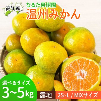 みかん 成田果樹園 宿毛みかん 温州みかん 高知産 約3kg 4kg 5kg 蜜柑 露地 ミカン 小玉 小粒 中玉 2S〜Lサイズ 果物 旬ミカン 家庭用 甘くておいしい 高知県産 産地直送 産直 農家さんの手詰めミカン クセになるみかん【送料無料】