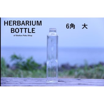 キャップ付 ハーバリウム ボトル 瓶「6角　10本セット　シルバー」ガラス瓶  透明瓶 花材 ウエディング プリザーブドフラワー インスタ SNS ボトルフラワー オイル ハーバリウム用 透明ボトル ハーバリウムボトル おしゃれ かわいい インテリア クリア