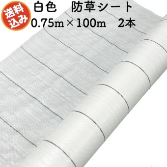 防草シート 白色（サンホワイト） 0.75m×100m 2本セット 抗菌剤入り UV剤入り  反射シート 草抑え 除草シート 雑草防止シート 雑草対策 農業資材 太陽光 環境制御 防ぐ 作物 野菜 果物 畑 農業 農園 農家 園芸 マルチング 温度抑制