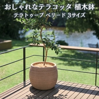 植木鉢 おしゃれ 大型 テラコッタ 素焼き モカブラウン ブラウン 茶 櫛目 丸型 KONTON コントン テラトゥープ ベリード TS-R38X L M S 約18号 約13号 約9号 底穴あり 屋外 テラス 庭 玄関 ベランダ オリーブ 観葉植物 多肉植物 シンボルツリー 寒冷地 大型プランター