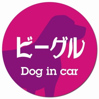 Dog in car ビーグル レトロ書体 ピンクパープル カーサイン 車 マグネットステッカー 犬 マグネット 強力 直径13cm 丸型 おしゃれ かわいい ドラレコステッカー 安全対策 危険運転 煽り運転 アニマル 動物 犬種別 屋外 防水 屋内