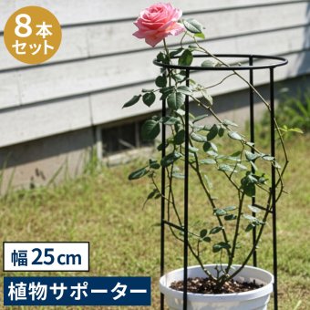 アイアン製植物サポーター 幅25 8本セット IF-N0049-8P奥行13 高さ50 ハーフリング 倒れ防止 広がり抑制 スチール 鉄製 支柱 園芸 植物サポート フラワーサポート 菜園 花壇