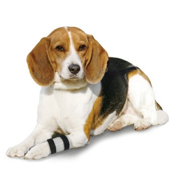 ペットの傷口に触れないようにやさしくガード IV カテーテルガード M 小型犬 中型犬 介護 手術 ケガ