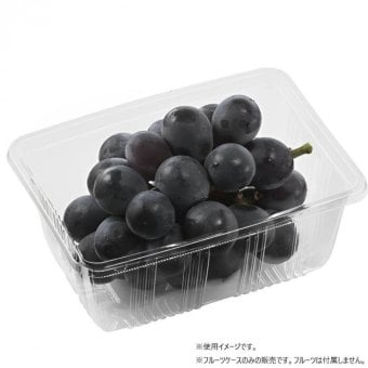 エフピコチューパ フルーツケース APフルーツ500 100枚入 透明容器 果物パック 苺 ぶどう 野菜 包装資材 業務用 保存容器 使い捨て プラスチック容器 172×122×70mm