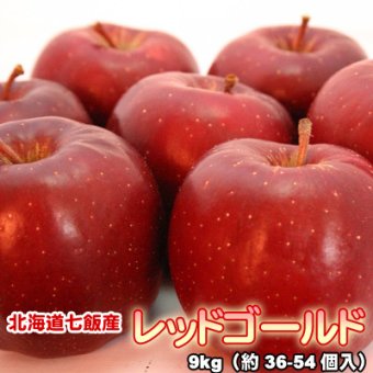 りんご 北海道産 蜜入 レッドゴールド リンゴ 9kg（約36-54個入）