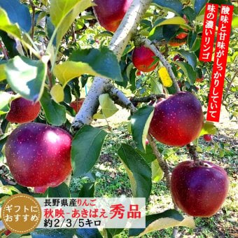 【予約】長野県産りんご 秋映 秀品 ご贈答 果物 フルーツ お取り寄せ 産地直送 【送料無料(一部地域除く)】
