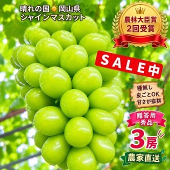 岡山県産 ぶどう シャインマスカット 300g3房 贈答用秀品 国産 フルーツ