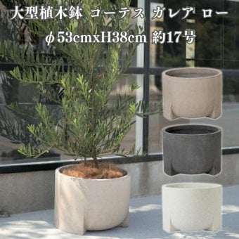 植木鉢 おしゃれ 大型 φ53cmxH38cm 17号 円柱 脚付き 低型 セメント コンクリート調 テラゾ KONTON コーテス ガレア ロー ファイバーセメント 軽量 底穴あり 屋外 L セメント グレー ホワイトテラゾ 観葉植物 シンボルツリー 北欧 モダン ナチュラル インテリア