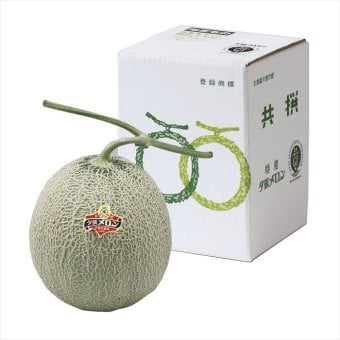 送料無料 北海道産地直送  夕張メロン優品約1.6kg1玉 優 ※ご注文後約7～10日前後での発送となります。沖縄・離島へは別途配送料が発生いたします お取り寄せグルメ スイーツ