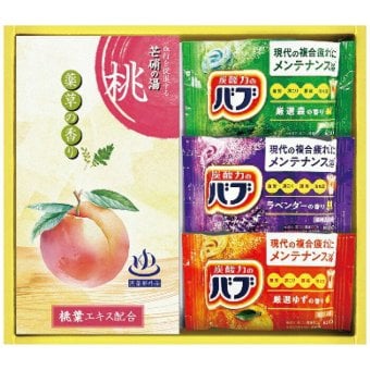  炭酸力の入浴剤セット BB10 BB10 内祝い お祝 出産内祝い