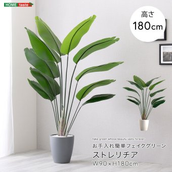 お手入れ簡単 フェイクグリーン ストレリチア Lサイズ(180cm) 新生活