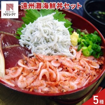 遠州灘の恵みセット 海鮮丼の具 魚介 詰め合わせ 5種入 海鮮惣菜 冷凍 鮪 鰹 桜えび ねぎとろ しらす【沖縄県・離島 配送不可】