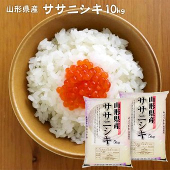 ササニシキ 10kg (5kg×2袋) 山形県産 令和8年産