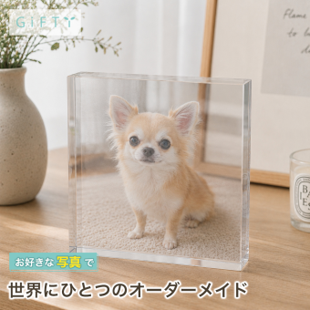 チワワ ガラスブロック 愛犬 ダックスフンド プレゼント 贈り物 サプライズ 写真立て うちの子記念日 記念品 ディスプレイ 飼い主 名入れ オーダーメイド ペット写真 メモリアル ペット仏壇 写真 感謝 高級 うちの子 フォトキューブ クリスタル 記念日 ペットグッズ 置き物 ペットメモリアル ポメラニアン 肉球 ペット オリジナル 愛猫家 メモリアルグッズ ギフト コーギー 小型犬【c01】