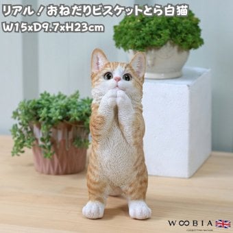 置物 猫 おねだりビスケットとら白猫 高さ23cm woobia ウービア リアル かわいい おしゃれ 玄関 インテリア オブジェ ガーデン とら猫 おねだり ねこ ネコ 動物 癒し 棚 北欧 プレゼント ギフト 新築祝い 猫好き