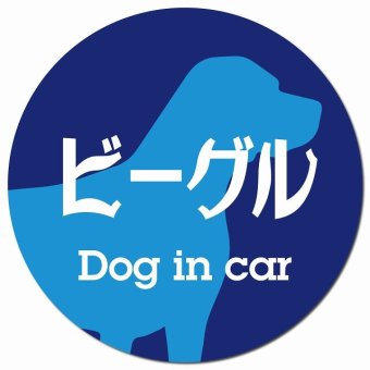 Dog in car ビーグル レトロ書体 ブルー カーサイン 車 マグネットステッカー 犬 マグネット 強力 直径13cm 丸型 おしゃれ かわいい ドラレコステッカー 安全対策 危険運転 煽り運転 アニマル 動物 犬種別 屋外 防水 屋内