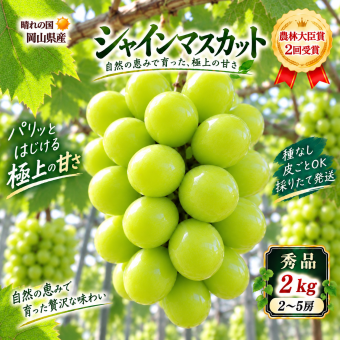 【予約】岡山県産 シャインマスカット 2kg 2～5房 贈答用秀品 国産 フルーツ