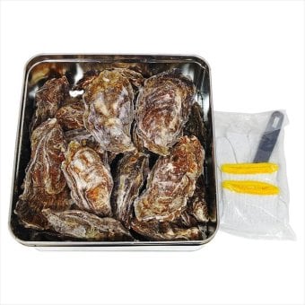 送料無料 お歳暮　JF広島漁連 広島牡蠣のｶﾝｶﾝ焼き H-KY16 ※11/2以降の出荷予定となります。北海道・沖縄・離島は配達不可 全国送料無料 お歳暮ギフト 早割 お歳暮2026 御歳暮 御見舞 お見舞い お取り寄せ グルメスイーツ