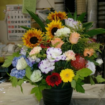 夏色アレンジ　お勧め