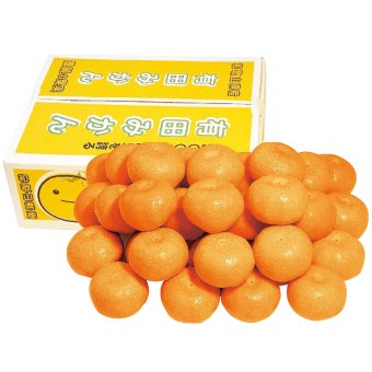 送料無料 お歳暮  和歌山県産 有田みかん約5kg   ※11/2以降の出荷予定となります。北海道・沖縄・離島は配達不可 全国送料無料 御歳暮 早割 お歳暮2026 御挨拶 お取り寄せ グルメ スイーツ