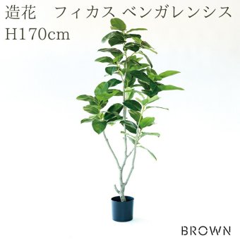 観葉植物 造花 フィカス ベンガレンシス BROWN 全高約170cm 大型 フェイクグリーン 高級 本物そっくり リアル おしゃれ インテリア 人工観葉植物 アーティフィシャルグリーン オフィス 店舗 ホテル 開店祝い 室内 リビング 玄関 風水 ゴムの木 ベンガルゴム