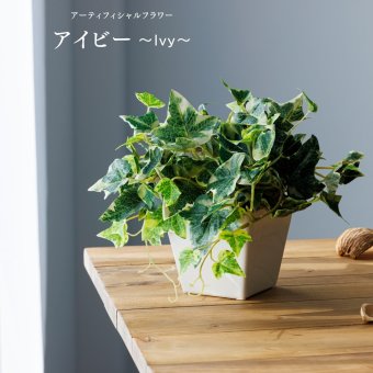 【造花 Ivy アイビー】 アーティフィシャルフラワー 花瓶 新築祝い 結婚祝い 開店祝い 開業祝い 誕生日プレゼント ギフト 送料無料