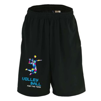 バレーボール ハーフパンツ ドライ メンズ ウェア レディース ジュニア 練習着 短パン 速乾 スポーツ 名入れ おしゃれ 半スボン 文字入れ無料 「ポリゴンシルエットのバレーボール」 アートワークスコウベ 【送料無料】