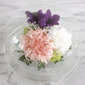 【最後の1点】【プリザーブドフラワー】優しい想い出・ガラスドーム　レアで生花のようなフレッシュ感に満ちた　ふんわりと優しくエレガント　ほこりが付かない ギフト 誕生日　記念日 サプライズ　送料無料