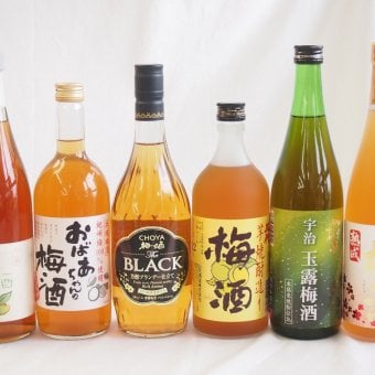 豪華梅酒6本セット(おばあちゃんの梅酒 芋焼酎仕込五代梅酒(鹿児島) 宇治玉露梅酒(京都) 高千穂産梅使用熟成梅酒 文蔵梅酒(熊本) 芳醇ブランデー仕立チョーヤ梅酒) 1800ml×1本 720ml×5本