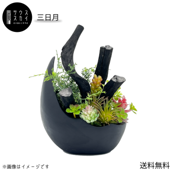 【送料無料】サウススカイ 紀州備長炭 三日月 インテリア おしゃれ 和風 和室 和モダン 玄関 トイレ 置物 飾り 消臭 脱臭 除湿 風水 上品 センスいい かっこいい 可愛い 優雅 華やか 多肉植物 飲食店 旅館 オフィス 応接室 新築祝 開店祝 誕生日 プレゼント ギフト 人気