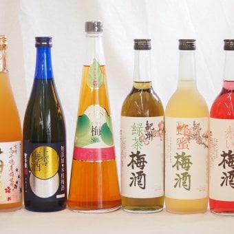 スペシャル梅酒6本セット(高千穂産梅使用熟成梅酒 手作り梅酒(宮崎県) 赤しそ赤い梅酒(和歌山) 芳醇ブランデー仕立チョーヤ梅酒 無添加上等梅酒(鹿児島) 緑茶梅酒(和歌山)) 720ml×6本