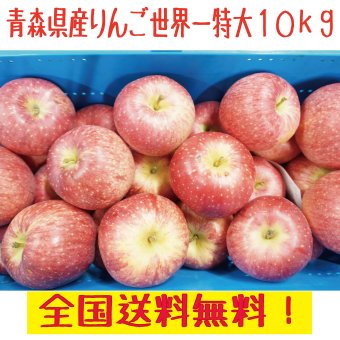 青森県産　りんご　世界一　特大　訳あり　10kg　全国送料無料