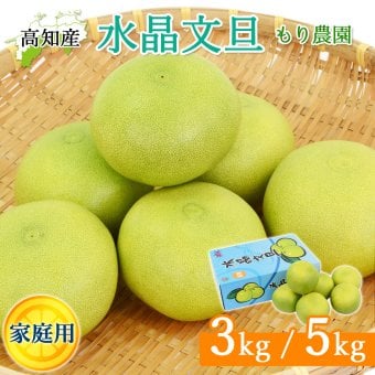 水晶文旦 生産農家直送 森農園 5～6玉 3kg 5kg 大玉 ご自宅 家庭用 秋文旦 早生ぶんたん 化粧箱入り 土佐市産 高知産 ハウス栽培 温室栽培 秋の味覚 高級フルーツ 柑橘 果物 産地直送 【送料無料】