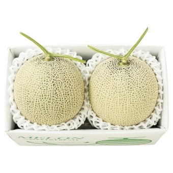 お歳暮・冬ギフト 冬の温室マスクメロン 2玉 (2612498) ※送料無料(北海道・沖縄・離島への配送不可)