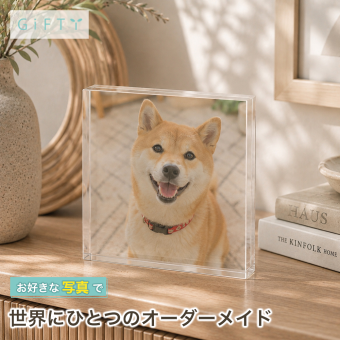 柴犬 ガラスブロック 愛犬 トイプードル ディスプレイ 飼い主 おしゃれ 写真 肉球 写真立て 記念 ペットグッズ 贈り物 ペットロス ダックスフンド ギフト うちの子記念日 プレゼント オリジナル ペットメモリアル 名入れ メモリアルプレート 虹の橋 記念品 愛猫家 フォトフレーム 愛犬家 フォトキューブ 記念日 チワワ うちの子 置き物 犬 メモリアル ペット サプライズ 写真入り【c01】