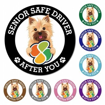 カーサイン 高齢者マーク SENIOR SAFE DRIVER ノーリッチテリア マグネット 強力 直径13cm 肉球 日本製 車 ステッカー