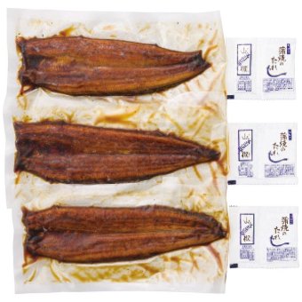 お歳暮・冬ギフト 静岡県産「浜名湖うなぎ」 (HUN123) ※送料無料(北海道・沖縄・離島への配送不可)