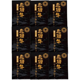 飛騨牛粗挽きミンチカレー9食 (ECHD9) [お中元][お歳暮] ※送料無料(北海道・沖縄・離島への配送不可)