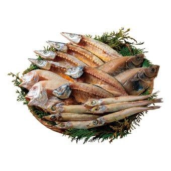 送料無料 お歳暮 山陰海鮮一夜干しセット  ※11月9日から12月24日 北海道・沖縄・離島は配達不可 全国送料無料御中元ギフト早割お中元2026御中元御見舞お見舞いお取り寄せグルメスイーツ