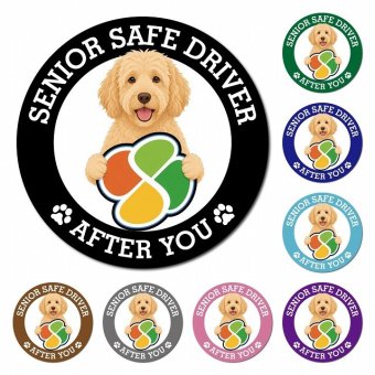 カーサイン 高齢者マーク SENIOR SAFE DRIVER ラブラドゥードル マグネット 強力 直径13cm 肉球 日本製 車 ステッカー
