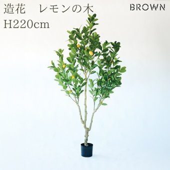 観葉植物 造花 レモンの木 BROWN 全高約220cm 大型 実付き フェイクグリーン 高級 本物そっくり リアル おしゃれ インテリア 人工観葉植物 アーティフィシャルグリーン シンボルツリー オフィス 店舗 カフェ 開店祝い 室内 リビング 玄関 風水 果樹 レモンツリー