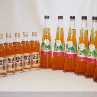 梅酒12本セット(手作り梅酒(宮崎県) 八鹿の酒蔵で造った梅酒(大分)) 720ml×6本 500ml×6本