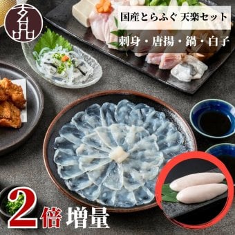 【公式】大人気 とらふぐが2倍！天楽セット（とらふぐ刺身 / 熟成骨付き唐揚げ / とらふぐちり鍋 / 白子）