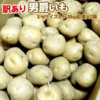 じゃがいも 訳あり北海道 じゃがいも 男爵いも S-Mサイズ 9.5-10kg前後×2箱 送料無料 ※沖縄は送料別途加算