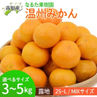 みかん 成田果樹園 宿毛みかん 温州みかん 高知産 約3kg 4kg 5kg 蜜柑 露地 ミカン 小玉 小粒 中玉 2S〜Lサイズ 果物 旬ミカン 家庭用 甘くておいしい 高知県産 産地直送 産直 農家さんの手詰めミカン クセになるみかん【送料無料】