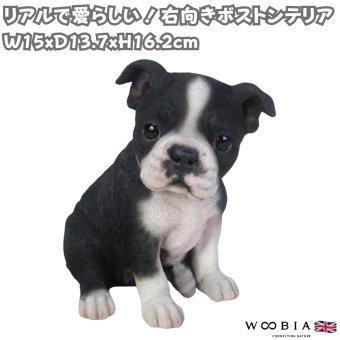置物 woobia ウービア 犬 ボステリ 右向きボストンテリア 黒白 高さ16.2cm 子犬 タキシード犬 リアル 本物そっくり イギリス生まれ 職人手彩色 縁起物 戌年 玄関 インテリア 新築祝い 引っ越し祝い 開店祝い 出産祝い 誕生日 お祝い ギフト プレゼント 犬好き ボストンテリア好き