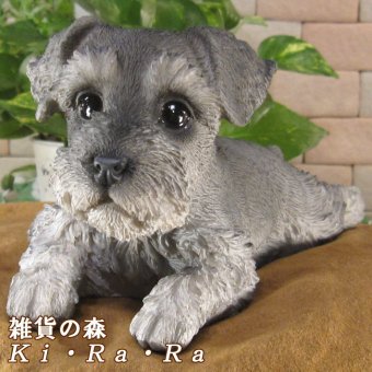 犬　置物 リアル　シュナウザー　伏せ　いぬ　動物オブジェ　ガーデン　オーナメント　店舗　カウンター　装飾　オブジェ　インテリア　玄関先　庭　犬好きさん人気ギフト　動物人気ギフト　クリスマスプレゼント　お誕生日祝い　母の日人気　父の日人気　敬老の日人気