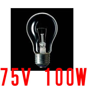 耐振電球 (耐震電球) | (まとめ売り×150個) クリア 75V 100W E26口金【夜店用】【イベント用】【白熱電球】【夜店】【イベント】