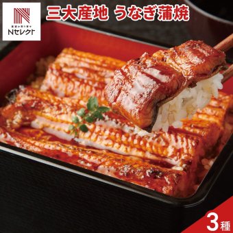 国産 うなぎの蒲焼 三大産地 食べ比べセット 3種入 タレ お吸い物付き 鰻 蒲焼 長焼き 冷凍 うなぎ蒲焼 国産 ウナギ【沖縄県・離島 配送不可】